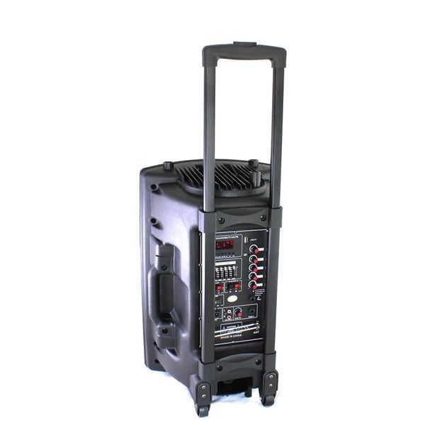 Портативна колонка Su-Kam BT 120D/212D+ 2 мікрофони 12v\220v 103800 фото