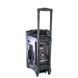 Портативна колонка Su-Kam BT 120D/212D+ 2 мікрофони 12v\220v 103800 фото 2