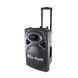 Портативна колонка Su-Kam BT 120D/212D+ 2 мікрофони 12v\220v 103800 фото 1